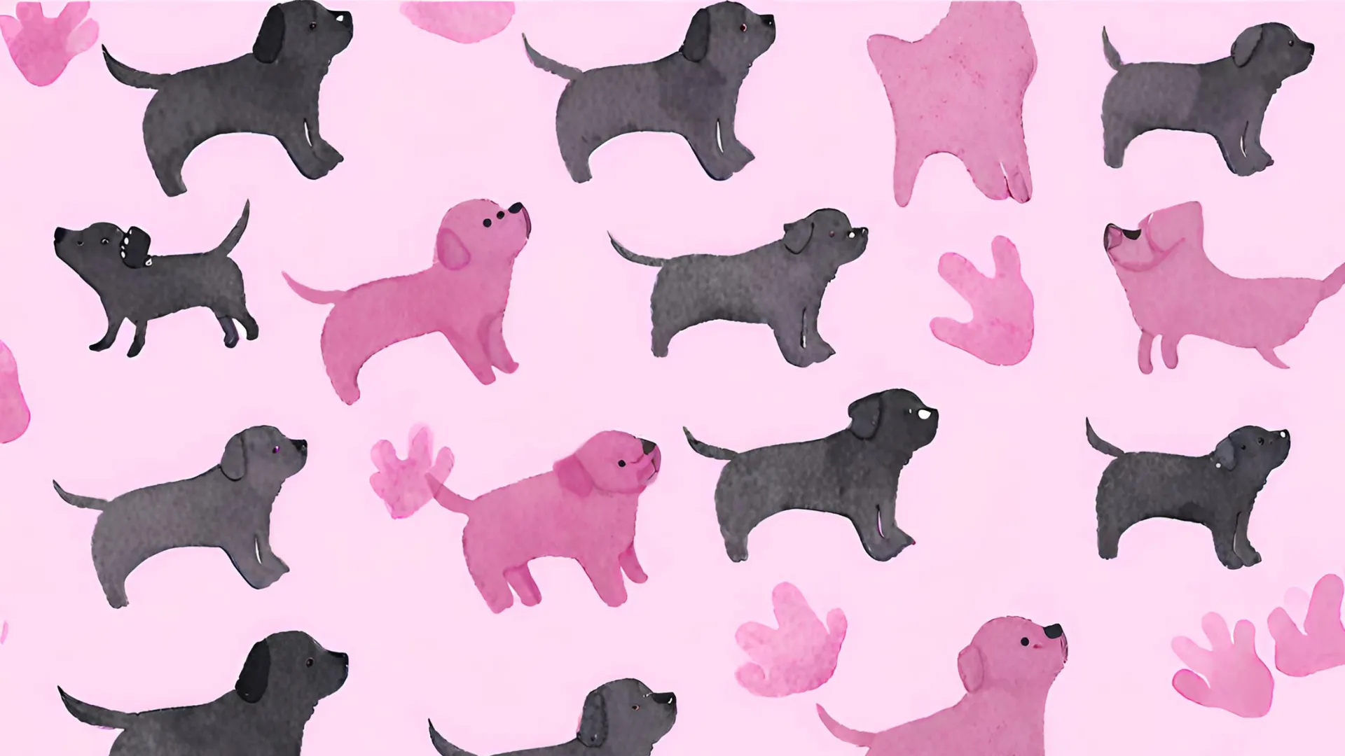 Banner image of the blog